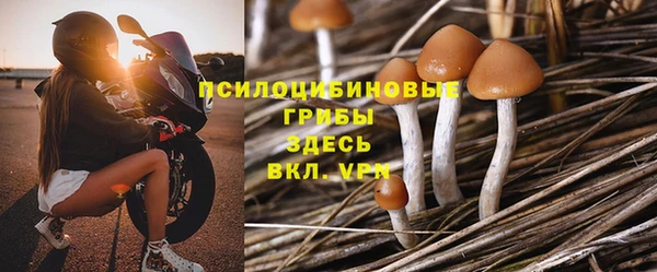 соль ск Алексин