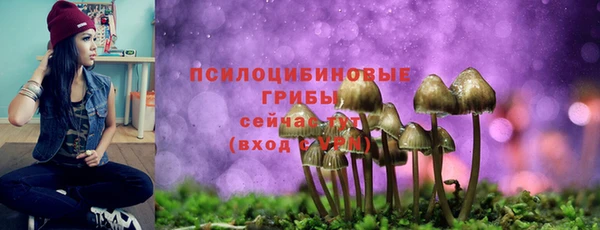 герыч Алзамай