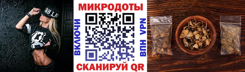 OMG маркетплейс  купить наркотик  Куровское  Галлюциногенные грибы Cubensis 